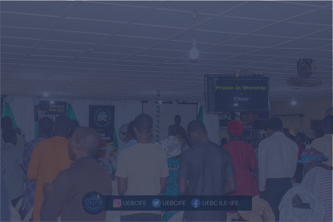 Non Profit Wordpress Theme